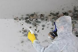 Best Air Quality Testing for Mold Spores  in Louisa, KY